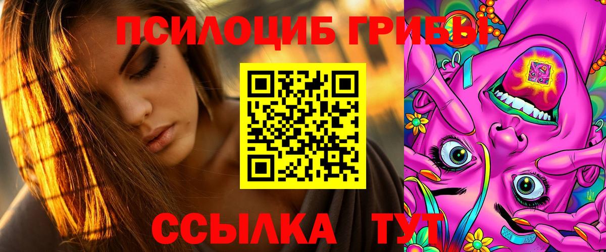 Псилоцибиновые грибы Psilocybine cubensis Кузнецк