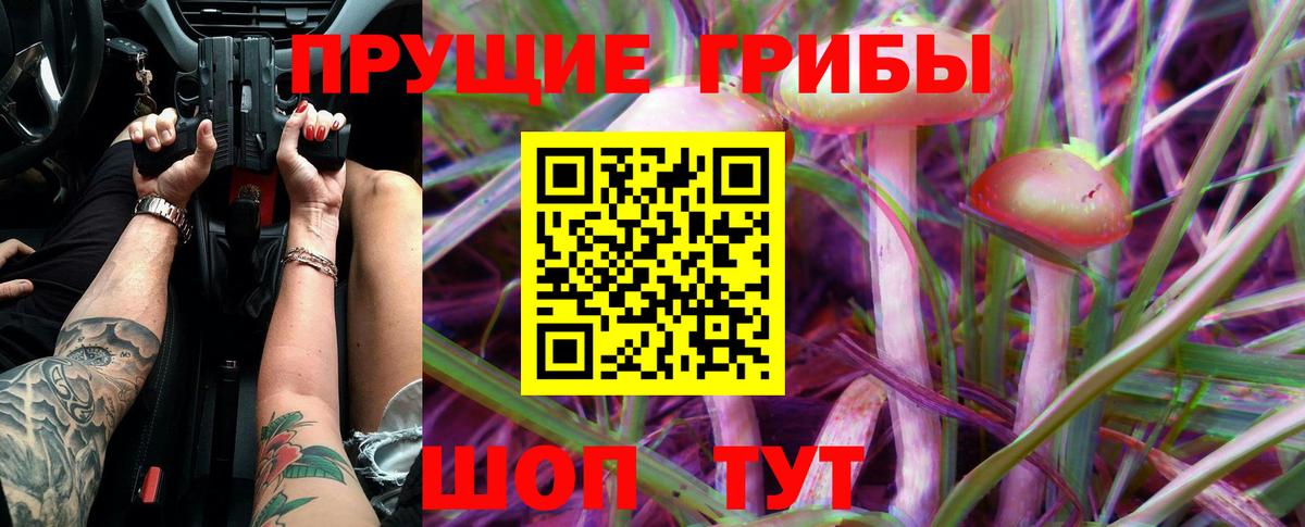 Псилоцибиновые грибы Cubensis  Вход с VPN  Псилоцибиновые грибы ЛСД  Кузнецк 